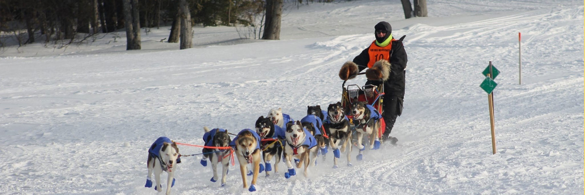 Dog Sledding - Destination Moosehead Lake