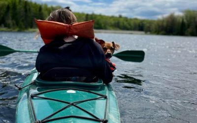 Outdoor Activities Archives - Destination Moosehead Lake