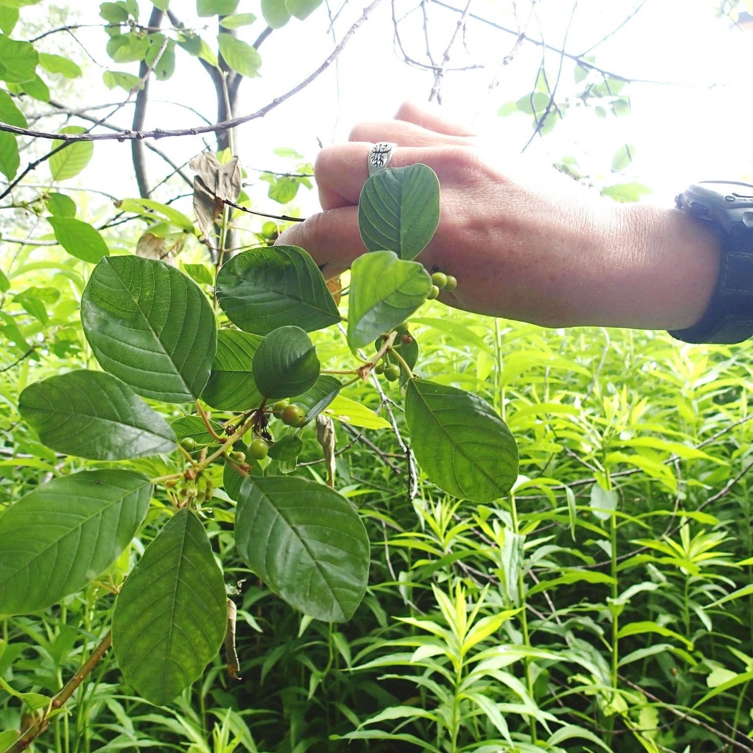 Piscataquis Soil & Water presents an Online Program with Chad Hammer ...